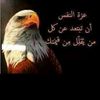 user4557622039993