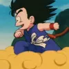 kakarooot07