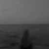 kiran_bafadal