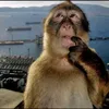 cucsilauongbelac.7