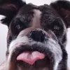 userjoaqaplvd2