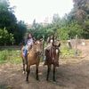 mose11234