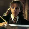 hermionecharactersxx