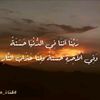 arefalqasim