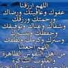 toutou.yahye