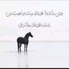 user1684575105873