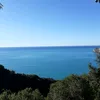 gabbo_g1