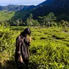 fahmi_nabil
