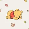 floooc02