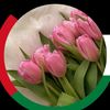 khawla_bls