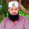 qamarqadri23