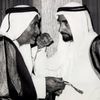 al3_sqeed