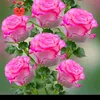 fatima.baker8