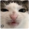 urmomssweetteat