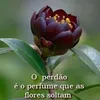 user448008367