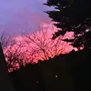 luv_mxchellex