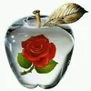 userhxsr8to107