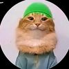 nebras.yousuf