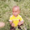 gulledhassan14