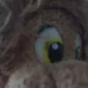 stephanymelo743