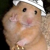 hamstersalma