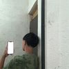 noe_mg_sp