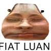 luansiqueira8735