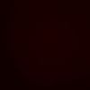 pinn_017