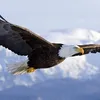 fraidoon.ghafarygmail.co
