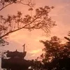 hang_ne15