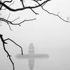 thienminh.174