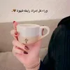 peman__h80