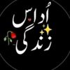 kingbhatti204