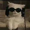 patpat339