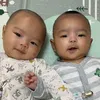 lidyazheng