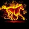 user7942637246160