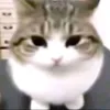 xyzabc_xyz_abc