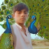 usmanusman11