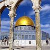 gazawyBDM | المستشار 🇵🇸