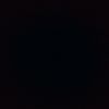qnns_andre1