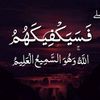 mostafaabdosaadalh