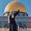 aminamina87922