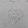 nicolousai2