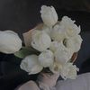 mannal_36