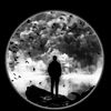 j.alexander_ct