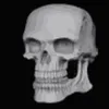 skelly_thatoneskeleton