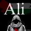 28alalo