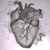 dead_inside20241224