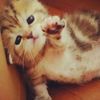 sssamy_wqs