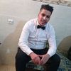 raouf_flamingo